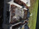 image of grave number 760001